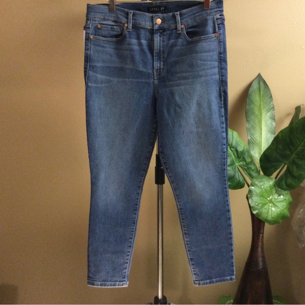 🆕 Level 99 High Rise Skinny Jean